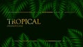 Tropical forest leaves abstract vector banner or invitation template. Palm leaf, fern and other foliage with retro golden Royalty Free Stock Photo