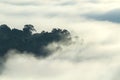 Tropical forest in the morning mountain valley landscape over mist, on Viewpoint Khao Kai Nui, Phang Nga, Thailand. Royalty Free Stock Photo