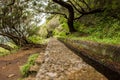 Irrigation canal levadas. Tropical forest in the mountains on Madeira island