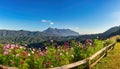 Tropical forest nature landscape at Doi Chiang Dao, Chiang Mai Thailand panorama Royalty Free Stock Photo