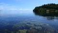 Sunny day above the surface of coral reef of raja ampat, transparent water, algae and corals