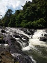Tropical forest river flowing fast Royalty Free Stock Photo
