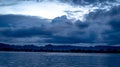 Tropical forest in the riverbank at dawn / dusk