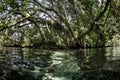 Tropical Forest and Shallow Water in Solomon Islands