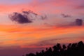 Tropical forest silhouette with palm trees against orange sky. Sunset and sunrise on the sea coast. Beautiful sea and Royalty Free Stock Photo