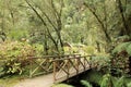 Wood bridge crossing over small river Royalty Free Stock Photo