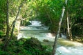 Tropical forest and water fall Royalty Free Stock Photo