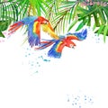 Tropical forest. Watercolor tropical forest. Parrot watercolor.