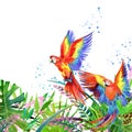 Tropical forest. Watercolor tropical forest. Parrot watercolor.