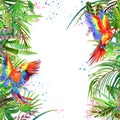 Tropical forest. Watercolor tropical forest. Parrot watercolor.