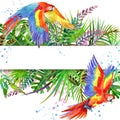 Tropical forest. Watercolor tropical forest. Parrot watercolor.