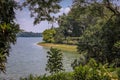 Tropical forest and the waters of the reservoir in a nature preserve, Singapore