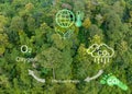 Tropical forests absorbing carbon dioxide and change to Oxygen