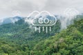 Tropical forests can absorb large amounts of carbon dioxide from the atmosphere