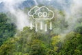 Tropical forests can absorb large amounts of carbon dioxide from the atmosphere