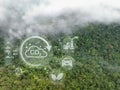 Tropical forests can absorb large amounts of carbon dioxide from the atmosphere