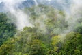 Tropical forests in rainy season , Southeast asian