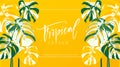 Tropical frame banner horizontal with monstera leaves on yellow background. Botanical vector creative design. Tropical leaves Royalty Free Stock Photo