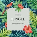 Tropical Frame border design summer with plants foliage exotic, creative watercolor vector illustration template design Royalty Free Stock Photo