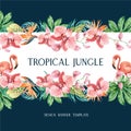 Tropical Frame border design summer with plants foliage exotic, creative watercolor vector illustration template design Royalty Free Stock Photo