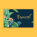 Tropical Frame border design summer with plants foliage exotic, creative watercolor vector illustration template design Royalty Free Stock Photo