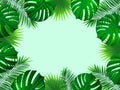 Tropical frame with exotic jungle plants, palm leaves, monstera and place for your text. Folliage background. Vector tropic design Royalty Free Stock Photo