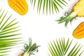 Tropical frame made of pineapple and mango fruits with palm leaves on white background Royalty Free Stock Photo