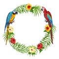 Tropical frame with parrots. Royalty Free Stock Photo