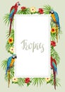 Tropical frame with parrots. Royalty Free Stock Photo