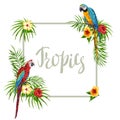 Tropical frame with parrots. Royalty Free Stock Photo