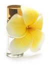 Tropical Frangipani with perfume bottle Royalty Free Stock Photo
