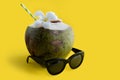 Tropical fresh coconut cocktail decorated plumeria with sunglasses on yellow background Royalty Free Stock Photo