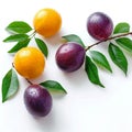 Tropical freshness Marian plum with leaves on white background