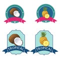 Tropical friut logo set, vector illustration