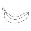 Tropical fruit banana, Hand drawn line art Banana icon.