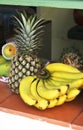 Tropical fruit - bananas, pineapple and melons
