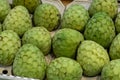 Tropical fruit cherimoya, ice cream fruit or custard apple Royalty Free Stock Photo