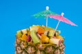 Tropical fruit cocktail Royalty Free Stock Photo