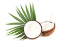 Tropical fruit coconut. Fresh coconut with leaves isolated on white background