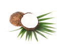 Tropical fruit coconut. Fresh coconut with leaves isolated on white background Royalty Free Stock Photo