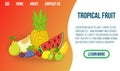 Tropical fruit concept banner, isometric style Royalty Free Stock Photo