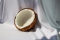 Tropical fruit concept, Halves of fresh white coconut on white fabric background Royalty Free Stock Photo