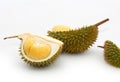 Tropical fruit Durian