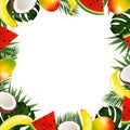 Tropical Fruit Frame Royalty Free Stock Photo