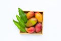 Tropical fruit, Fresh mango in wooden box on white background. Royalty Free Stock Photo