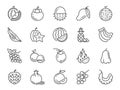 Tropical fruit icon set. Included icons as durian, mango, banana, longan, pineapple and more.