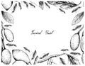 Hand Drawn Frame of Elaeocarpus Hygrophilus and Curriola Fruits Royalty Free Stock Photo