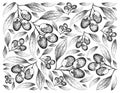 Hand Drawn Background of Fresh Jujube Fruits