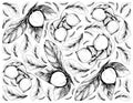 Hand Drawn Background of Nance and Bacupari Fruits