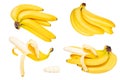 Tropical fruit isolated. Collection of tasty ripe bananas isolated on a white background. Health concept Royalty Free Stock Photo